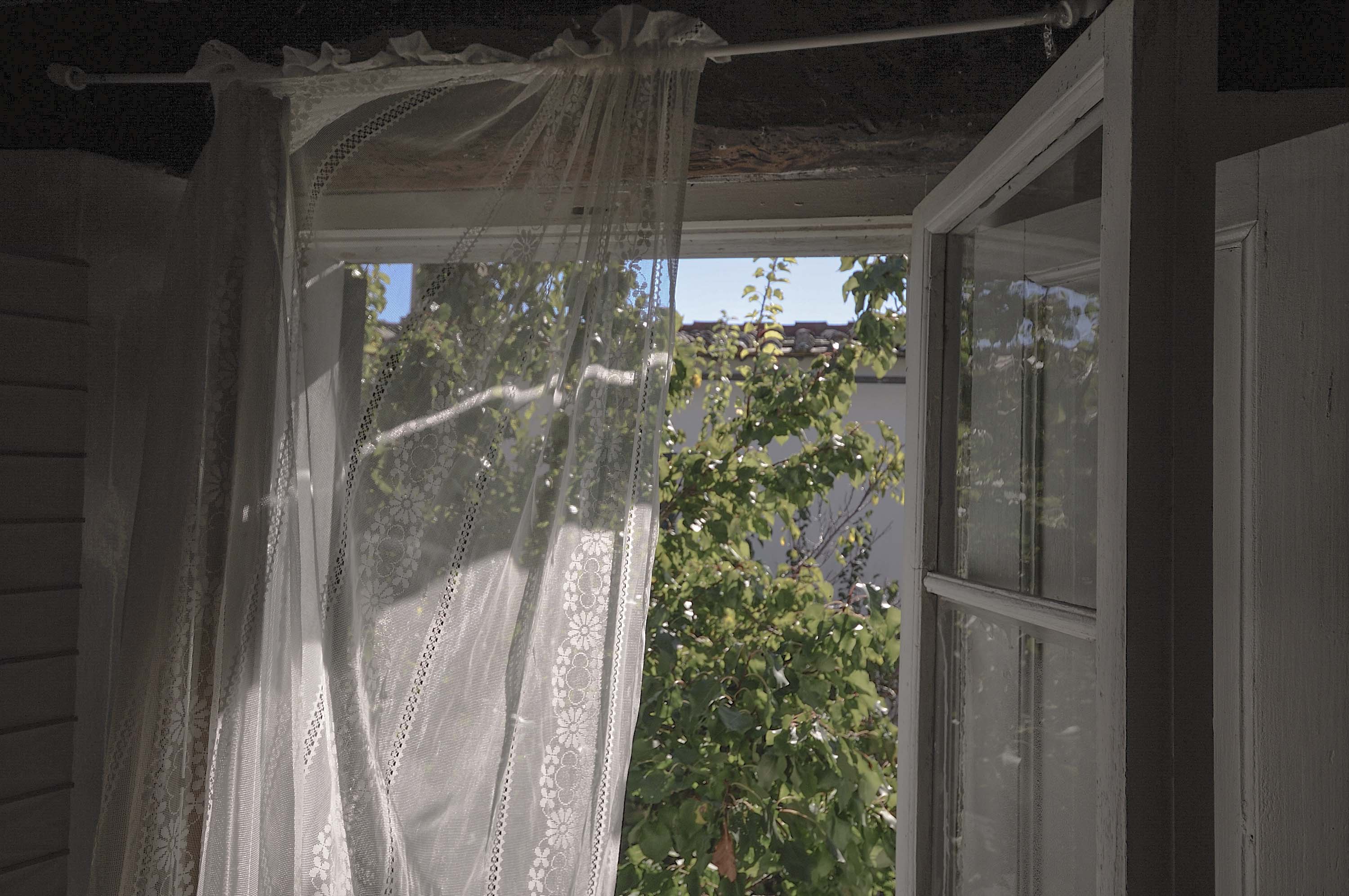 Le ombre morbide